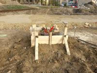 Imagine atasata: 20251031_153553.jpg